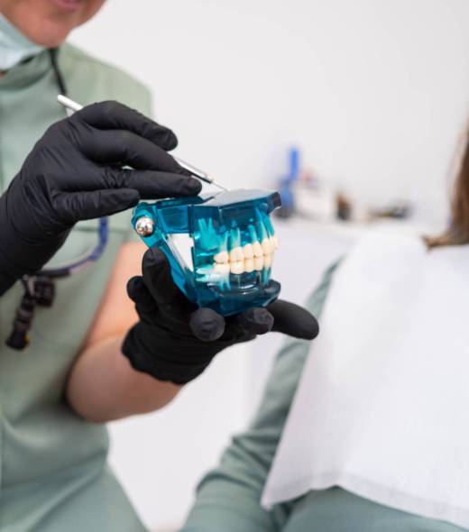 Dental doctor use model of jew during dental consultations to visually demonstrate treatment Dental doctor use model of jew during dental consultations to visually demonstrate treatment at dental clinics.